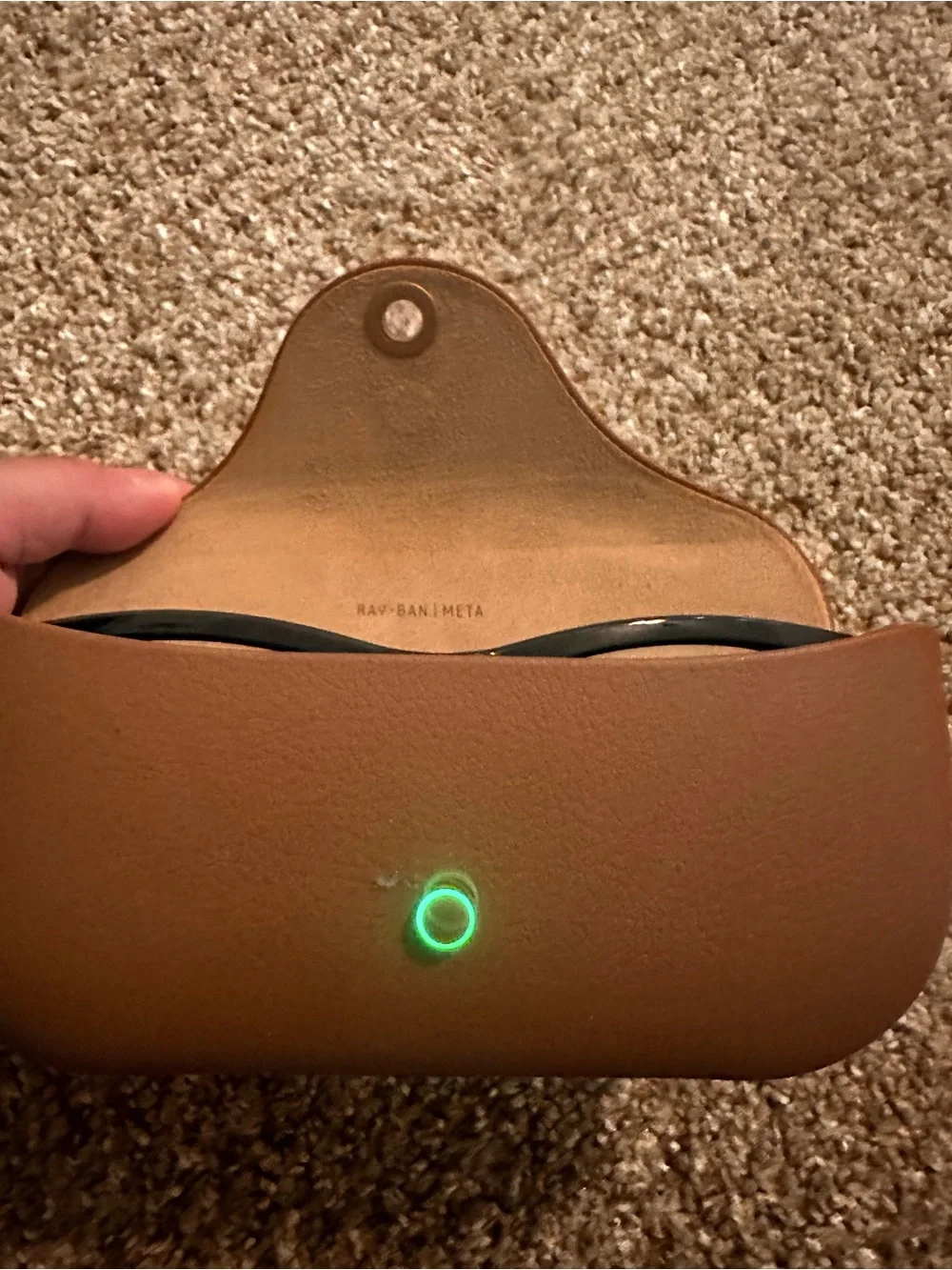 Ray-Ban Black Frame Glasses with Brown Leather Case
